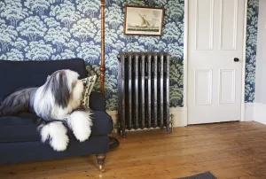 Ornate Rococo III cast iron radiator in Satin Polish on feet with angled valves, against tree-print wallpaper beside a sofa with a sheepdog.
