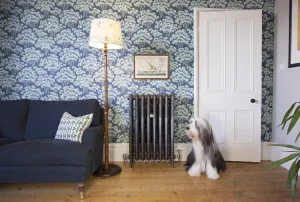 Ornate Rococo III cast iron radiator in Satin Polish on feet with valves, against blue tree wallpaper beside a navy sofa and a sitting dog.