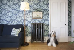 Ornate Rococo III cast iron radiator in Satin Polish on feet, with nickel valves, against blue tree wallpaper beside a sofa and a sitting dog.