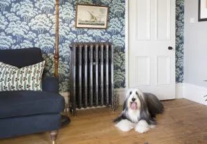 Ornate Rococo III 970mm cast iron radiator in Satin Polish on feet, against tree-print wallpaper beside a navy armchair, with a bearded collie on floorboards.