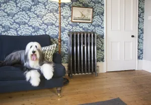 Ornate Rococo III cast iron radiator in Satin Polish on feet against tree-print wallpaper, beside a navy sofa with a long-haired dog.