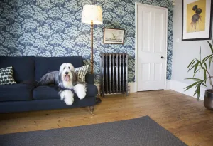 Ornate Rococo III cast iron radiator in Satin Polish on feet against blue tree wallpaper, beside a navy sofa with a long-haired dog.