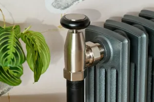 Close-up of a brushed nickel Windsor angled valve with black handle on a dark grey Grace 4 Column cast iron radiator, beside a prayer plant.