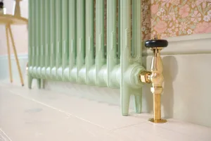 Windsor Angled TRV in an Unlacquered Brass finish with a Mercury 2 Column in Little Greene Peagreen