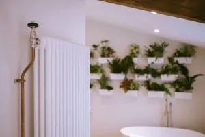 Tall white Florence 3 Column steel radiator with a Satin Nickel Windsor angled valve on copper pipe, beside a bathroom plant wall and bath.
