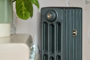 Close-up of a plain four-column cast iron radiator in dark grey with a brass bleed valve, beside seagull wallpaper and a leafy plant.