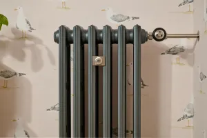 Grace 4 Column 760mm cast iron radiator in Pencil with a nickel wall stay and Windsor angled TRV against pink seagull wallpaper.
