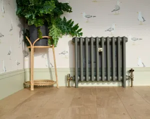 Plain Mercury 4 Column cast iron radiator in Quartz Grey on feet, brass valves, seagull wallpaper, rattan plant stand and oak floor.