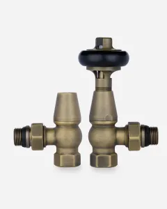 Product photograph of a Windsor Angled 1/2" Threaded TRV - Natural Brass by Castrads