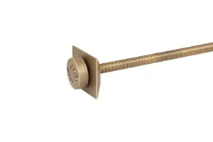 Whitworth wall stay in Natural Brass with a round cap embossed with a bee, a square backplate and a long threaded rod, on white.