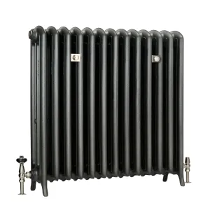 Emmeline III 870mm cast iron radiator on feet in a dark metallic grey finish, with nickel valves and wall stays, on a white background.