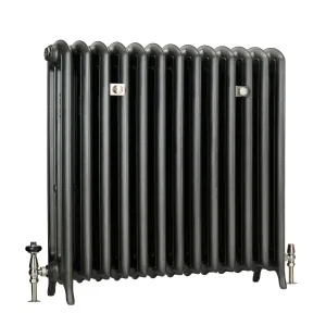 Emmeline III 870mm cast iron radiator on feet in a dark metallic finish, with nickel thermostatic and lockshield valves and two wall stays.