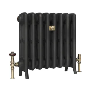Grace 4 column cast iron radiator on feet in a dark graphite finish, with antique brass valves and a decorative brass plaque, on white.