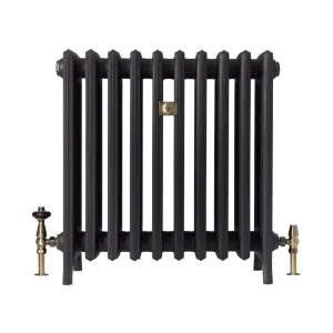 A Grace 6 Column cast iron radiator on feet in a dark grey finish, with an antique brass thermostatic valve, lockshield and central plaque.