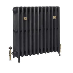 Grace 6 column cast iron radiator on feet in a dark grey finish, with brass thermostatic valve, lockshield and decorative brass wall stays.