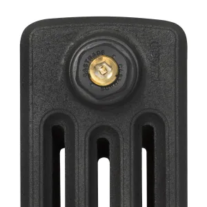 Close-up of the top of a Grace 4 column cast iron radiator section in a textured dark grey finish, with a brass-centred Castrads bleed plug.