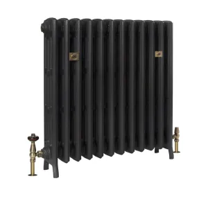 Grace 4 column cast iron radiator on feet in a dark graphite finish, with brass thermostatic and lockshield valves and brass plates, on white.
