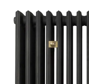 Close-up of the top of a Grace 6 Column cast iron radiator in a dark graphite finish, with a small square antique brass emblem plate.