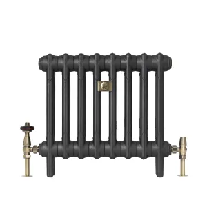 Mercury 2 Column 460mm cast iron radiator in Matt Black on feet, with eight plain sections, brass angled valves and a brass bee plaque.