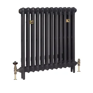 Plain Mercury 2 Column 760mm cast iron radiator in Matt Black on feet, with brass valves and two brass wall stays, on a white background.