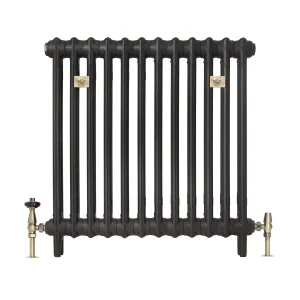 Plain Mercury 2 Column cast iron radiator in Matt Black on feet, with brass wall stays and antique brass thermostatic and lockshield valves.