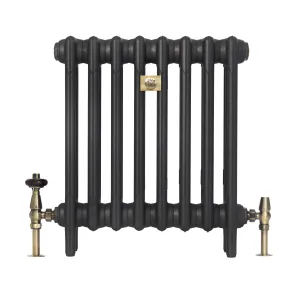 Plain Mercury 3 column cast iron radiator on feet in Matt Black, with antique brass valves and a brass wall stay at the centre.