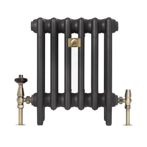 Plain six-section Mercury 4 Column cast iron radiator in Matt Black on feet, with a brass bee badge and antique brass angled valves.