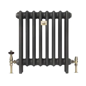Plain eight-section Mercury 4 Column cast iron radiator in Matt Black on feet, with antique brass valves and a central bee badge.