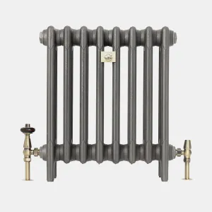 Plain eight-section Mercury 4 Column cast iron radiator on feet in Black Iron, with brass valves and a bee plaque, on a white background.
