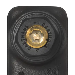 Close-up of the end of a black cast iron radiator section, with a Castrads-stamped plug and brass bleed valve, on a white background.