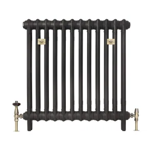 A plain Mercury 2 column cast iron radiator on feet in a dark finish, with brass wall stays and antique brass angled valves, on white.