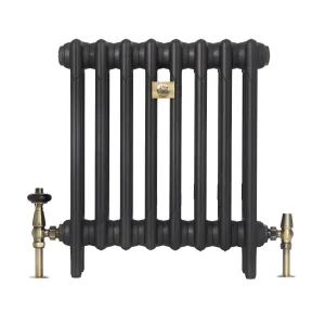 Plain Mercury 3 column 560mm cast iron radiator on feet in a dark graphite finish, with brass valves and a brass bee badge, on white.