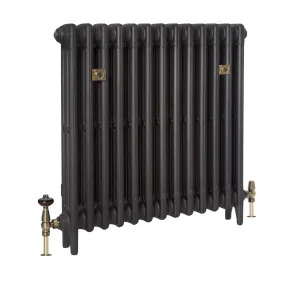 Plain Mercury 3 column cast iron radiator on feet in a dark graphite finish, with brass wall stays and antique brass valves, on white.