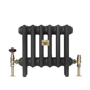 Low plain Mercury 4 Column 360mm cast iron radiator on feet in a dark textured finish, with antique brass valves and a bee-motif plaque.