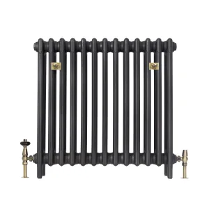 Plain Mercury 4 column cast iron radiator on feet in a dark graphite finish, with antique brass valves and two brass wall stays.