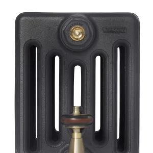 Close-up of a plain Mercury cast iron radiator end section in textured dark grey, with a Castrads brass bleed plug and an aged brass valve.