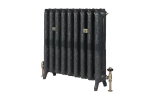 Ornate Rococo II 760mm cast iron radiator in Charcoal on feet, with antique brass valves and wall stays, on a white background.