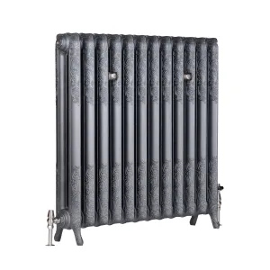 Ornate Rococo II cast iron radiator in Black Iron on scrolled feet, with nickel angled valves at each end, on a white background.