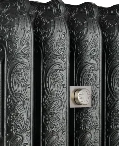 Rococo III cast iron radiator in Black Iron with Satin Nickel accessories - blanking plug view
