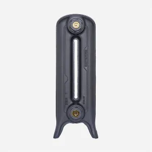 Single cast iron Emmeline radiator section on feet, two-column, in Astral Grey Mid metallic finish with brass-centred end plugs.