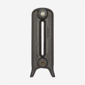A single two-column cast iron radiator section on feet in a Grey Bronze finish, with Castrads-stamped plugs top and bottom, on a white background.
