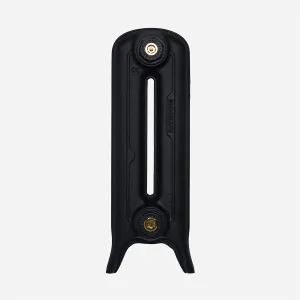 A single plain two-column cast iron radiator section on feet in Matt Black, with brass-centred end plugs, on a white background.