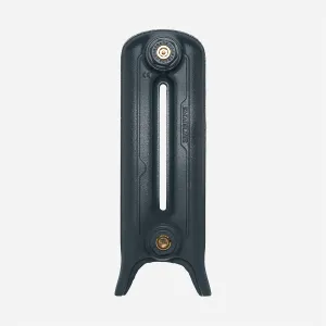 Side view of a single Emmeline two-column cast iron radiator section on legs in Midnight Ink, with brass bushes top and bottom.