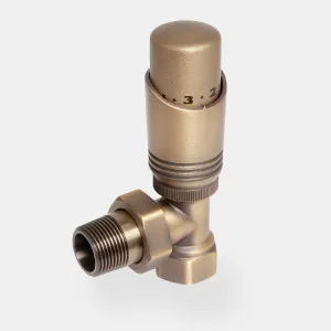 Niva angled thermostatic radiator valve in Natural Brass with a numbered head, knurled collar and threaded tail, on a plain grey background.