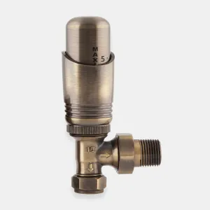 Niva angled thermostatic radiator valve in Antique Brass with a domed head marked to 5 and a threaded tail, on a plain grey background.