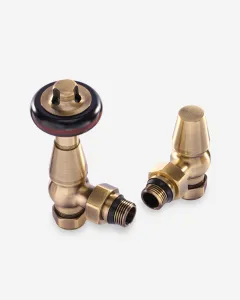 Windsor Angled TRV pair in Antique Brass, one valve with a dark wooden-effect head, the other with a capped lockshield, on white.