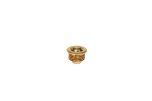 BVA1 Bleed Valve - Brass