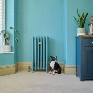 Emmeline III cast iron radiator on feet, painted to match a turquoise wall, with brass valve, beside a seated Boston terrier on cream carpet.